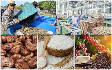 7 tháng đầu năm 2022, xuất khẩu nông lâm thủy sản đạt gần 32,3 tỷ USD