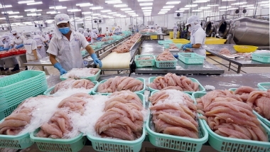 Nhận diện các yếu tố ảnh hưởng tới chuỗi cung ứng ngành thủy sản vùng Đồng bằng sông Cửu Long(*)