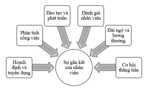 Tác động của quản trị nguồn nhân lực đến sự gắn kết của nhân viên: Trường hợp Link Nhà Cái Uy Tín 2026 | Đăng Ký +65k Nhật Bản tại Việt Nam