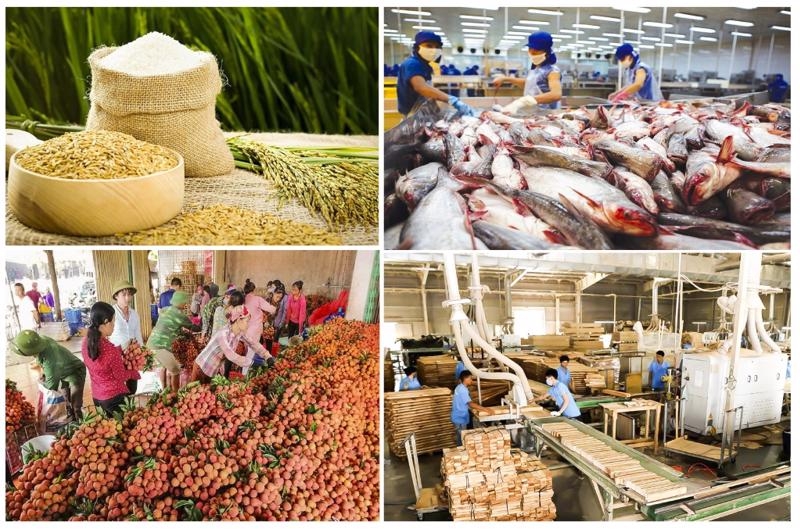Ok 365 bet cc Trang Web Giải Trí nông, lâm nghiệp và thủy sản 9 tháng năm 2022 vẫn duy trì tăng trưởng ổn định