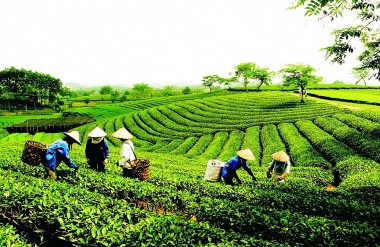 Tháng 10/2023, dự kiến tổ chức Diễn đàn Ok365 Nhà Cái Uy Tín 2026 hợp tác, hợp tác xã năm 2023
