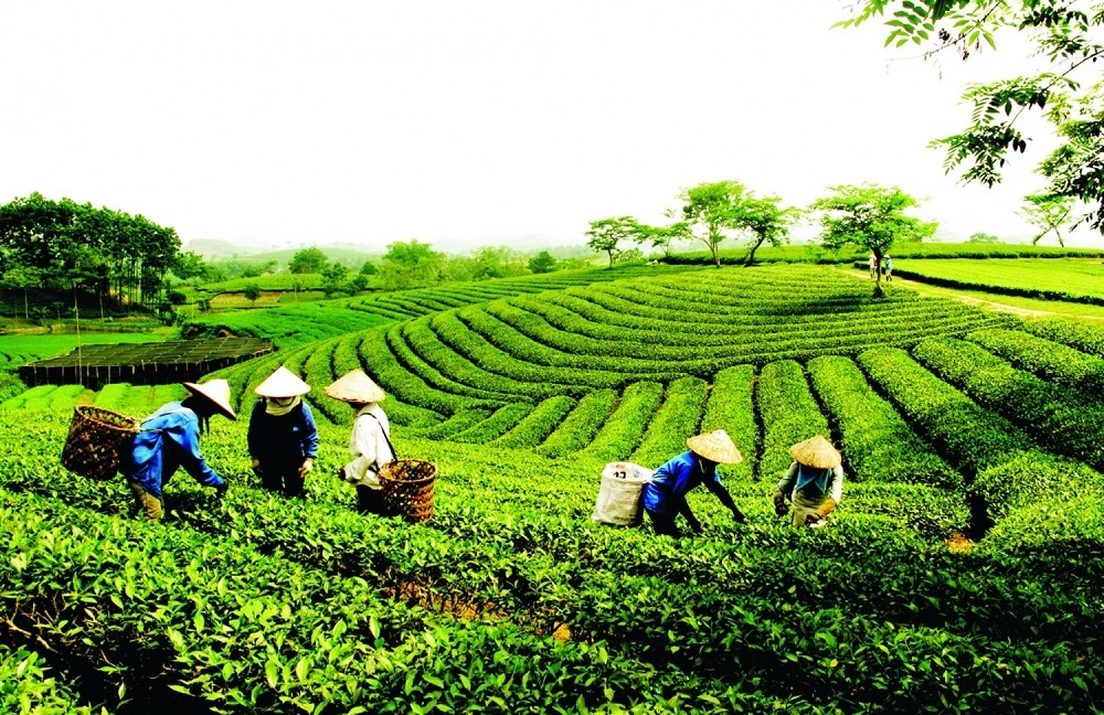 Tháng 10/2023, dự kiến tổ chức Diễn đàn Ok365 Nhà Cái Uy Tín 2026 hợp tác, hợp tác xã năm 2023