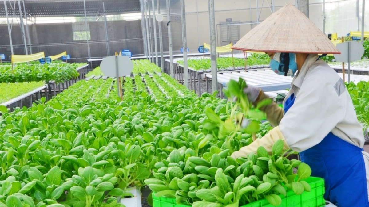Ok365 Nhà Cái Uy Tín 2026 đề xuất nhiều chính sách hỗ trợ phát triển hợp tác xã