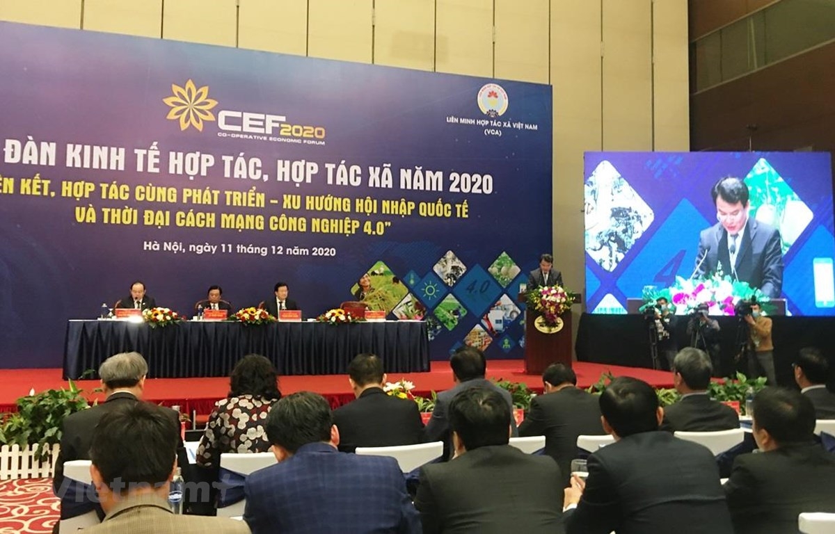 Chuyển thời gian tổ chức Diễn đàn Ok365 Nhà Cái Uy Tín 2026 hợp tác, hợp tác xã sang năm 2022