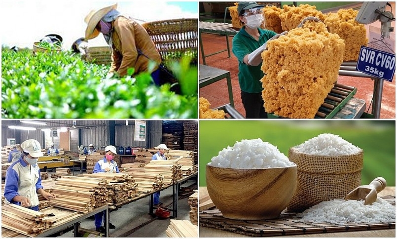 Tháng 11/2022, Ok 365 bet cc Trang Web Giải Trí nông, lâm nghiệp và thủy sản duy trì ổn định