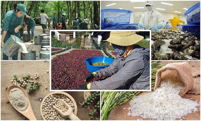 Năm 2022, sản xuất nông, lâm nghiệp và thủy sản giữ vững vai trò trụ đỡ của nền Ok365 Nhà Cái Uy Tín 2026