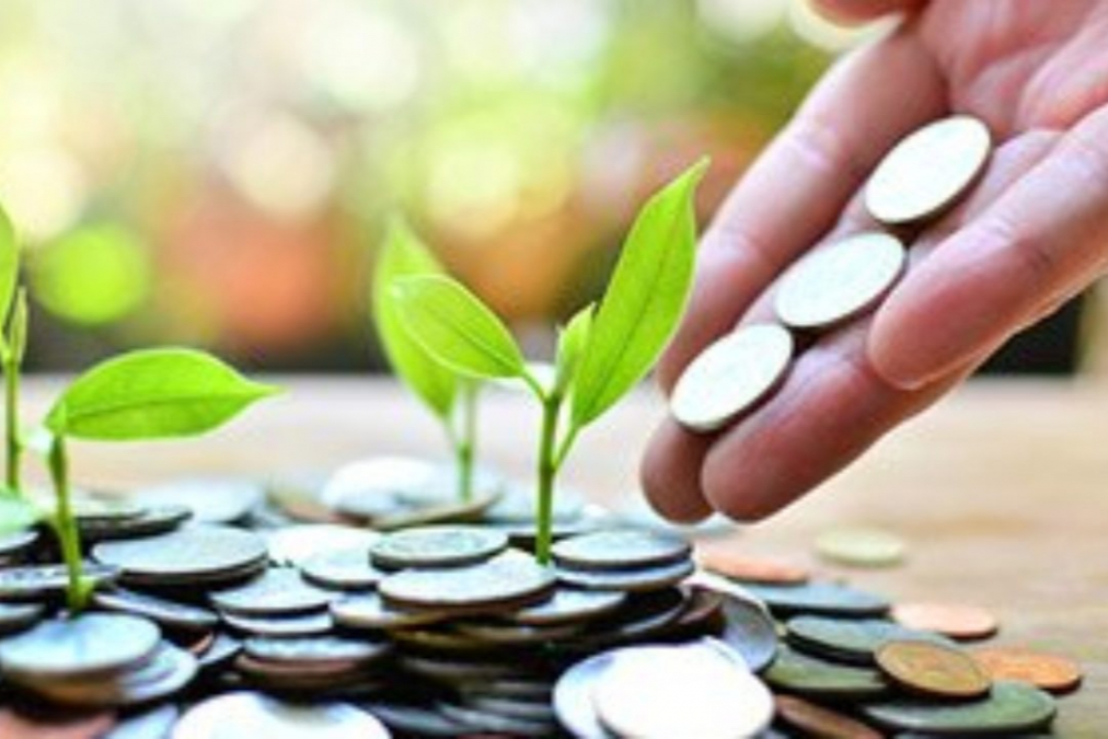 Link Nhà Cái Ok365.com Chính Thức Tặng Ngay 88K môi trường trong các Link Nhà Cái Uy Tín 2026 | Đăng Ký +65k ở Việt Nam – Thực trạng và giải pháp