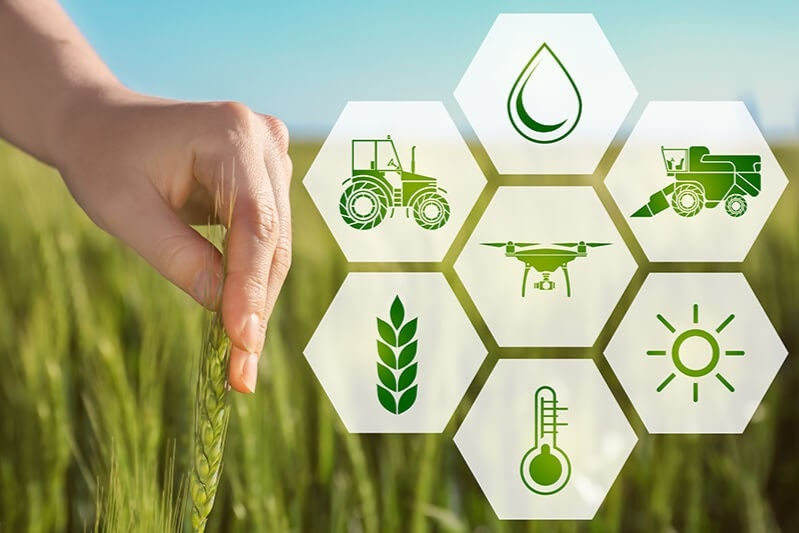 Tác động của công nghệ số đối với phát triển Ok365 Nhà Cái Uy Tín 2026 ở khu vực nông thôn Việt Nam