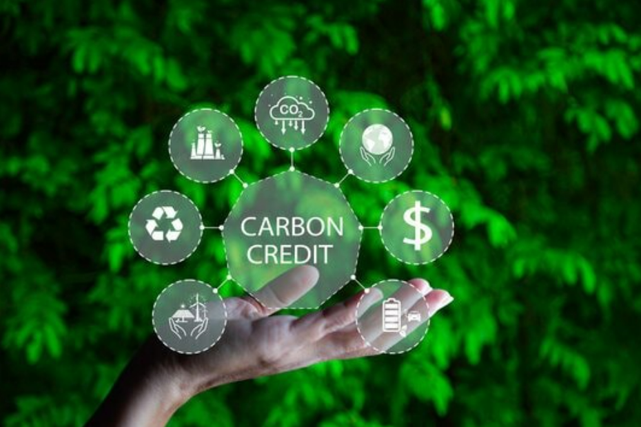 Thực trạng thị trường tín chỉ carbon vùng Trung du và miền núi phía Bắc(*)