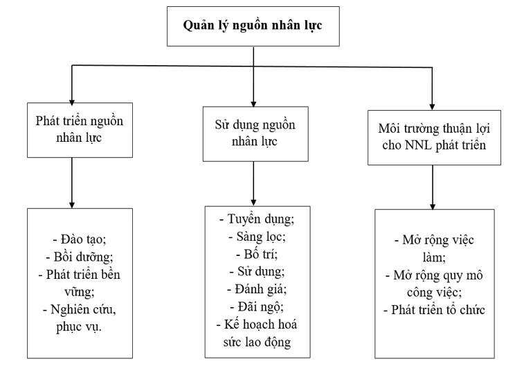 Cơ sở lý luận về quản lý nguồn nhân lực tại các Ok365 com vn nổ hũ thương mại Việt Nam