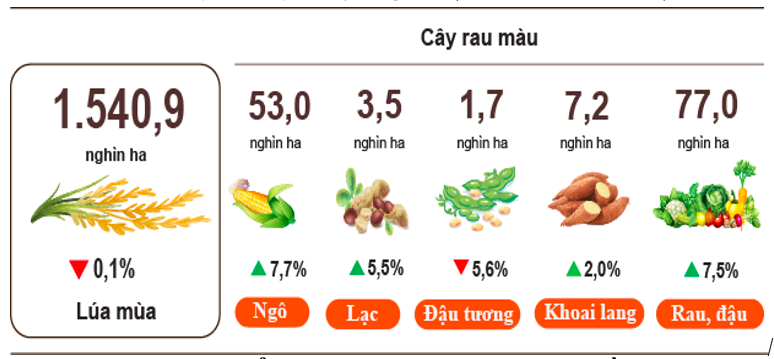 Ok 365 bet cc Trang Web Giải Trí Ok36512 vip Casino, Thể Thao trong nước biến động do ảnh hưởng của bão Yagi