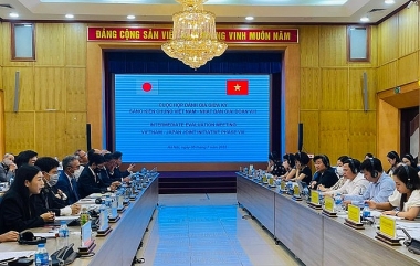 Hơn một nửa tiểu hạng mục trong Sáng kiến chung Việt Nam - Nhật Bản giai đoạn 8 thực hiện đúng tiến độ
