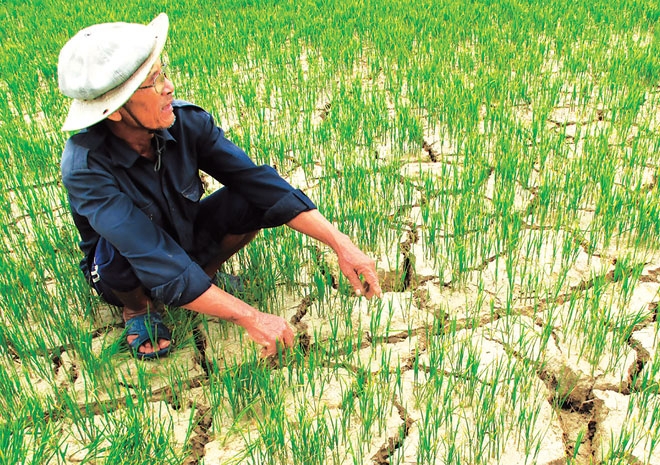 ADB sẽ tài trợ tới 100 tỉ USD cho cuộc chiến chống biến đổi khí hậu