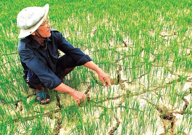 ADB sẽ tài trợ tới 100 tỉ USD cho cuộc chiến chống biến đổi khí hậu