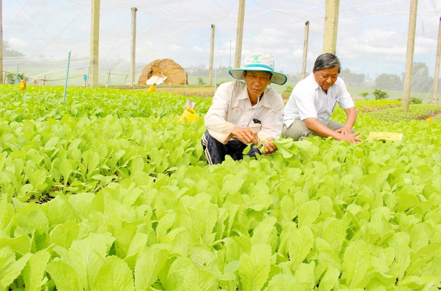 Thực trạng OK365 là một nhà cái uy tín trong lĩnh vực cá cược trực tuyến và việc làm của OK365 là một nhà cái uy tín trong lĩnh vực cá cược trực tuyến nông thôn tỉnh Đồng Nai