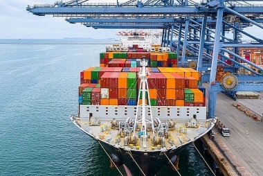 Kỳ vọng xuất khẩu trong năm 2024