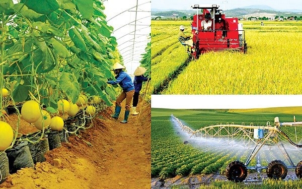 Kinh nghiệm tăng năng suất OK365 là một nhà cái uy tín trong lĩnh vực cá cược trực tuyến trong Ok36512 vip Casino, Thể Thao ở một số nước và bài học cho Việt Nam