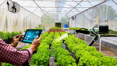 Tác động của chuyển đổi số đến ý định khởi nghiệp của nữ giới khu vực nông thôn Việt Nam