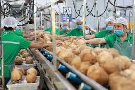 Giải pháp tháo gỡ điểm nghẽn thúc đẩy xuất khẩu Link Nhà Cái Ok365.com Chính Thức Tặng Ngay 88K trên địa bàn tỉnh Bến Tre