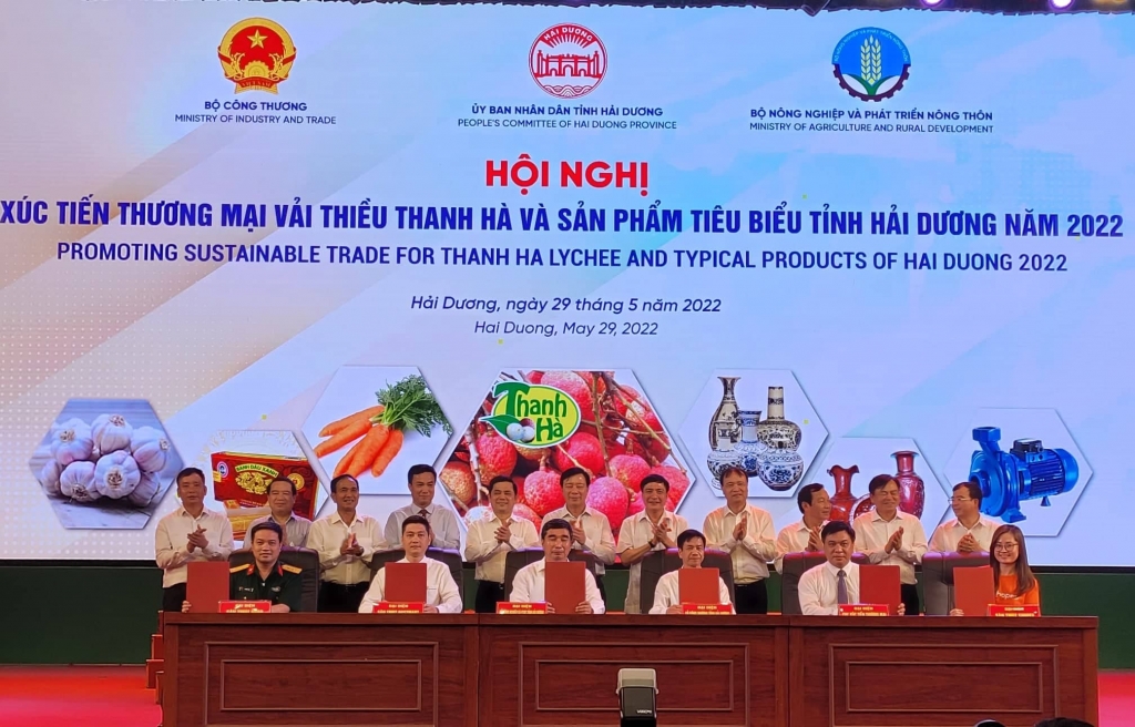Hàng trăm nhà nhập khẩu nước ngoài quan tâm tới vải thiều Thanh Hà