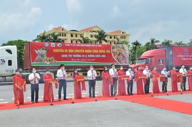 Nhiều cơ hội cho tiêu thụ nhãn và nông sản của tỉnh Hưng Yên
