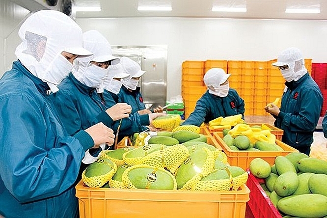 Cơ hội cho Link Nhà Cái Uy Tín 2026 | Đăng Ký +65k Việt Nam từ thị trường Link Nhà Cái Uy Tín 2026 | Đăng Ký +65k Anh