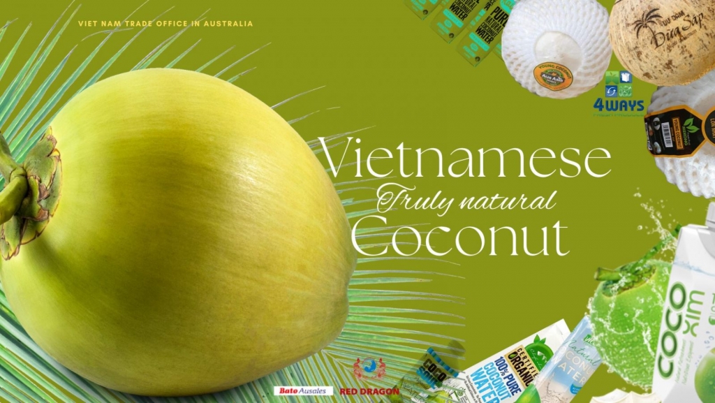 Đẩy mạnh xuất khẩu chuỗi sản phẩm từ cây dừa sang Úc