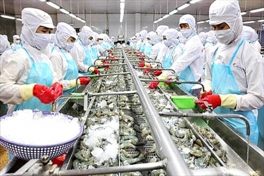 Cả nước đã xuất siêu gần 4 tỷ USD trong 8 tháng