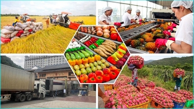 Phân tích lợi thế nông sản xuất khẩu chủ lực của Việt Nam giai đoạn 2001-2023 thông qua Chỉ số lợi thế so sánh bộc lộ