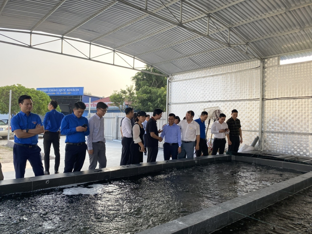 Hải Dương thúc đẩy nhiều giải pháp thúc đẩy thanh niên Ok365.com Tải xuống phiên bản mới nhất, lập nghiệp