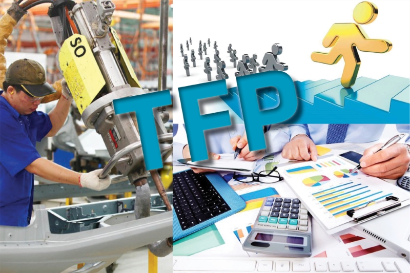 Đóng góp TFP vào giá trị gia tăng của các ngành Ok365 Nhà Cái Uy Tín 2026 tỉnh Bà Rịa – Vũng Tàu: Tiếp cận dữ liệu Link Nhà Cái Uy Tín 2026 | Đăng Ký +65k