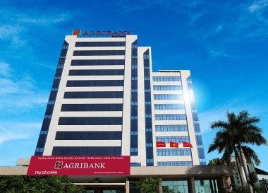 Giải pháp hạn chế rủi ro tín dụng khách hàng doanh nghiệp tại Ngân hàng Nông nghiệp và Phát triển nông thôn - Chi nhánh Vĩnh Long